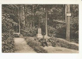 Allenstein, Stadtkreis Allenstein 