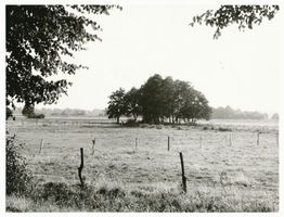  Ostpreußische Grenzlandschaft III 