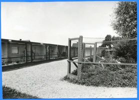 Rossitten Kr. Samland, Kreis Samland Rossitten Kr. Samland, Vogelgatter Росситтен, р-н Самбия, вольер для птиц