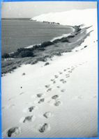 Kurische Nehrung, Hohe Düne bei Nidden mit Haff und Sandspuren Kurische Nehrung, Dünen