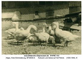 Allgau, Kreis Elchniederung 