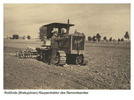 Roßlinde, Kreis Gumbinnen 