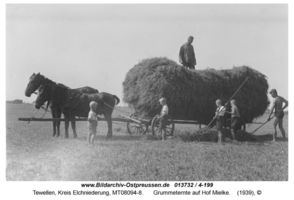 Tewellen, Kreis Elchniederung 