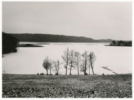  Nariensee, bei Mohrungen II Нариензее, у Морунгена, II