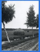  Memelgebiet, Memelländische Landschaft, Blick auf Heukäpse Memellandschaft