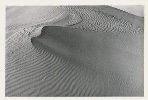  Kurische Nehrung, Dünen, Sandstrukturen,  Feine Riffeln und zarte Linienschwünge Kurische Nehrung, Dünen, Sandstrukturen