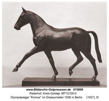 Reiterhof, Kreis Goldap 