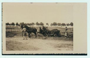 Schönlinde Kr. Gerdauen, Kreis Gerdauen 