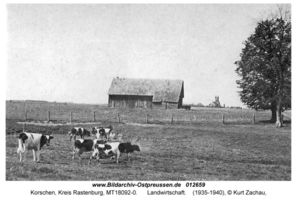 Korschen, Kreis Rastenburg 