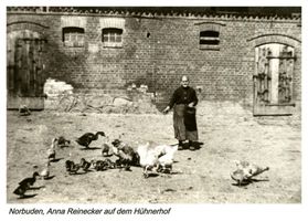 Norbuden, Kreis Gumbinnen 