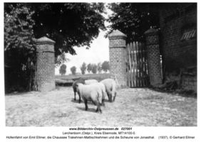 Lerchenborn (Ostpr.), Kreis Ebenrode  