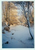 Schönlinde Kr. Gerdauen, Kreis Gerdauen 