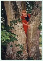 Schönlinde Kr. Gerdauen, Kreis Gerdauen 