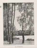  Am Röthloffsee 