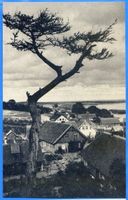 Nidden, Kreis Memel Nidden, Italienblick XII 