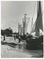 Pillkoppen, Kreis Samland Pillkoppen, Fischerkähne im Hafen, III Kurische Nehrung, Fischerei