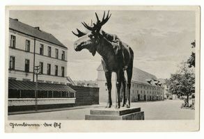 Gumbinnen, Stadt, Kreis Gumbinnen Magazinplatz Gumbinnen, Der Elch Gumbinnen, Elchdenkmal
