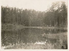  Kreis Osterode, Drenske-See 
