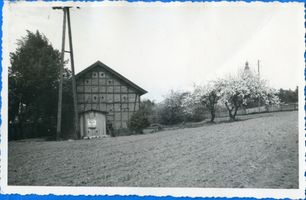  Ortelsburg (Kreis) Garten Grönbeck ? an der Landstraße nach Ortelsburg 