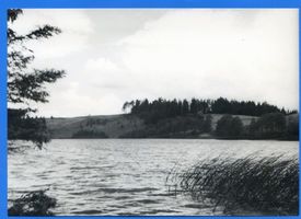 Treuburg, Kreis Treuburg Treuburg, Partie am Lasseck-See II Тройбург, уголок на озере Лассек, II