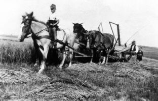 Johannisburg, Kreis Johannisburg 