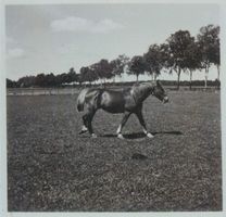 Schönlinde Kr. Gerdauen, Kreis Gerdauen 