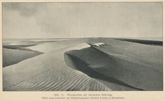  Kurische Nehrung, Wanderdüne Kurische Nehrung, Dünen
