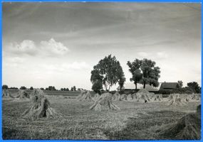 Großheidenstein, Kreis Elchniederung Großheidenstein, Gehöft 