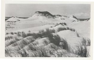  Kurische Nehrung, Dünen,  nördlicher Teil der Nehrung, Sandberge mit schilfartigem Dünengras bewachsen Kurische Nehrung, Dünen, Sandstrukturen