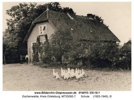 Eschenwalde Kr. Ortelsburg, Kreis Ortelsburg 