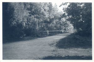  Rominter Heide, Hirschweg 