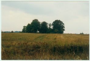 Schneiderin Kr. Gerdauen, Kreis Gerdauen 