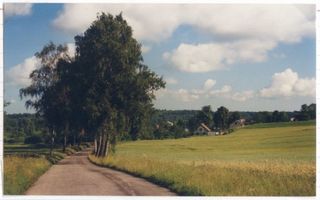 Kronau Kr. Lötzen, Kreis Lötzen Kronau Kr. Lötzen, Birkenallee vor Kronau, Ortseinfahrt 