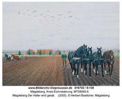 Mägdeberg, Kreis Elchniederung 