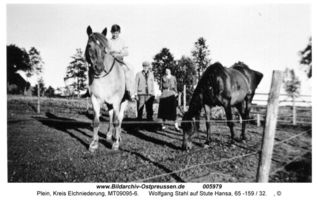 Plein, Kreis Elchniederung 