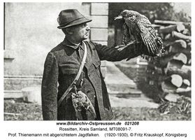 Rossitten Kr. Samland, Kreis Samland 