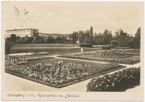 Königsberg (Pr.), Stadtkreis Königsberg Auguste-Viktoria-Allee