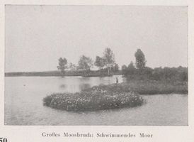  Großes Moosbruch, Schwimmendes Moor Elchniederung, Landschaftsaufnahmen