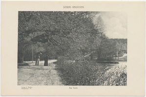 Rauschen Kr. Samland, Kreis Samland Rauschen Kr. Samland, Am Teich 