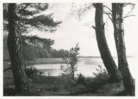  Mauersee, Bucht im See Masurische Seen