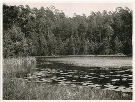  Kreis Osterode, Kleiner Silbersee bei Osterode II Masurische Seen