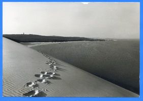 Nidden, Kreis Memel Nidden, Blick über die Düne auf das Haff Nidden, Landschaft - Ostsee - Umgebung