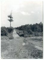 Gilge, Kreis Labiau Gilge, Memeldelta bei Gilge 