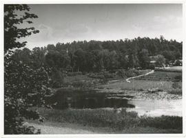  Drewenzsee bei Pillauken 