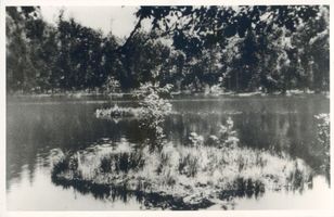  Osterode (Kreis), See mit schwimmenden Inseln Osterode (Kreis), nicht verortete Bildmotive