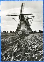 Mehlsack, Stadt, Kreis Braunsberg Mehlsack, Windmühle bei Mehlsack 