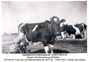 Gilgetal, Kreis Elchniederung 