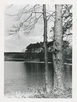  Masuren, Waldsee II Masurische Seen