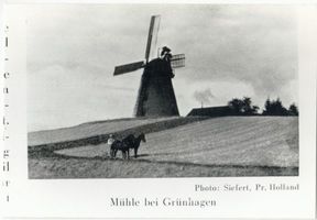 Grünhagen Kr. Preußisch Holland, Kreis Preußisch Holland Grünhagen Kr. Preußisch Holland, Windmühle bei Grünhagen 