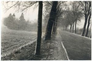 Nikolaiken Kr. Sensburg, Kreis Sensburg Nikolaiken Kr. Sensburg, Straße bei Nikolaiken bei Schneetreiben 